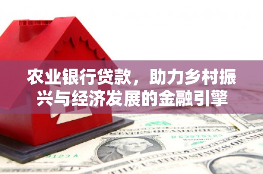 岱山农业银行贷款，助力乡村振兴与经济发展的金融引擎