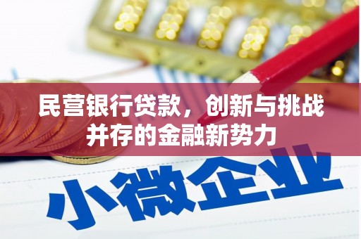 通山民营银行贷款，创新与挑战并存的金融新势力