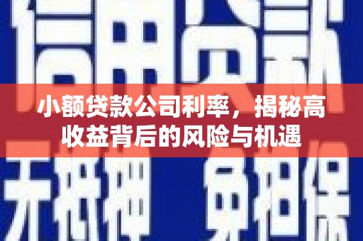 宿松小额贷款公司利率，揭秘高收益背后的风险与机遇