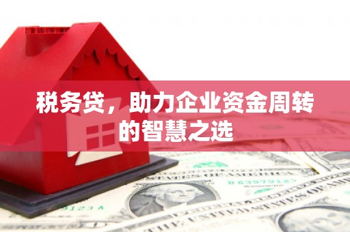 勐海税务贷，助力企业资金周转的智慧之选