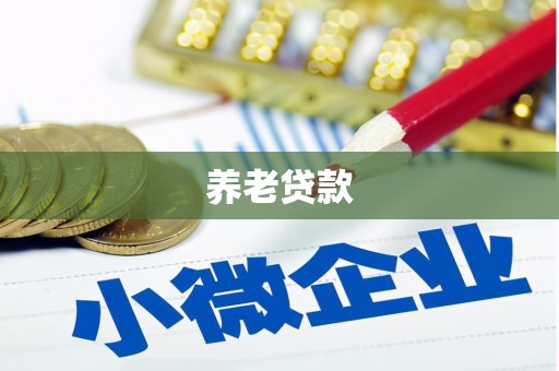 龙文养老贷款