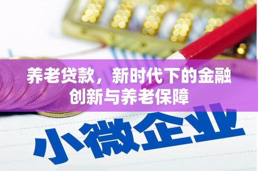 金湖养老贷款，新时代下的金融创新与养老保障