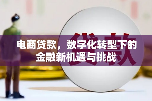 哈尔滨电商贷款，数字化转型下的金融新机遇与挑战