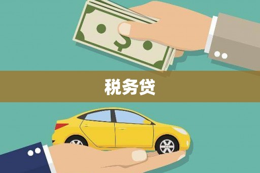 响水税务贷