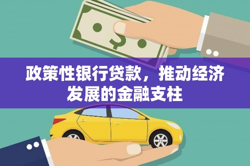 玛曲政策性银行贷款，推动经济发展的金融支柱