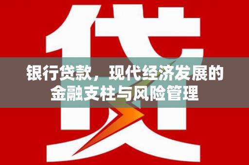 宁夏银行贷款，现代经济发展的金融支柱与风险管理