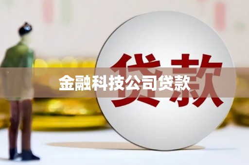 九龙金融科技公司贷款