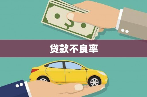 炉霍贷款不良率