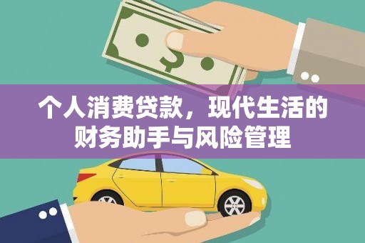 安居个人消费贷款，现代生活的财务助手与风险管理
