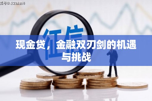 崇左现金贷，金融双刃剑的机遇与挑战