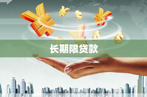 米东长期限贷款