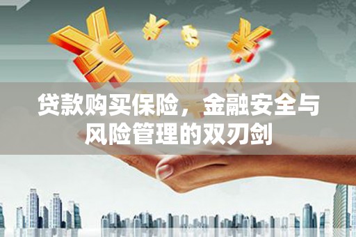 通许贷款购买保险，金融安全与风险管理的双刃剑