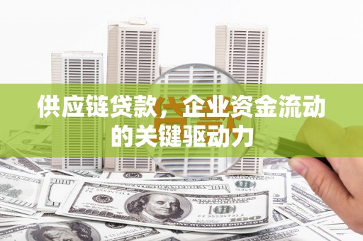 那曲供应链贷款，企业资金流动的关键驱动力