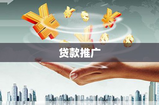 民丰贷款推广