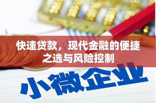 阜宁快速贷款，现代金融的便捷之选与风险控制