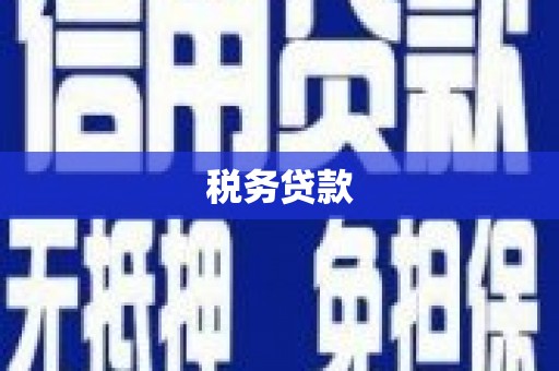 金华税务贷款