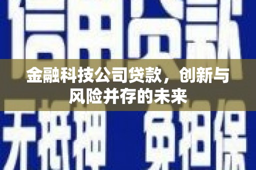 汇川金融科技公司贷款，创新与风险并存的未来