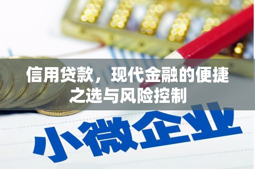 丰城信用贷款，现代金融的便捷之选与风险控制