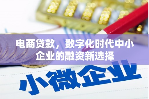 蕉城电商贷款，数字化时代中小企业的融资新选择