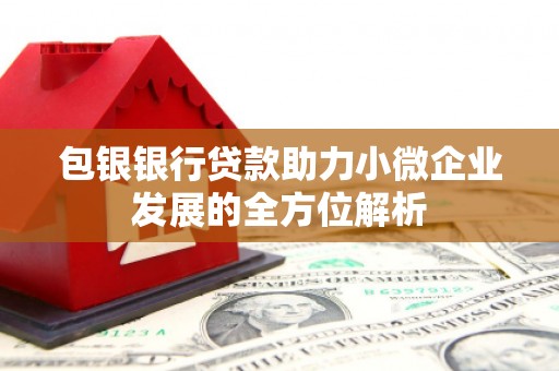 埔心包银银行贷款助力小微企业发展的全方位解析