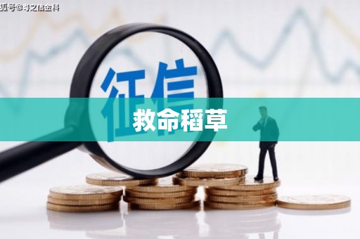 海端救命稻草