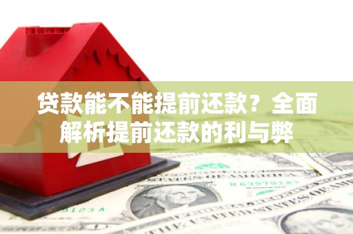 新店贷款能不能提前还款？全面解析提前还款的利与弊