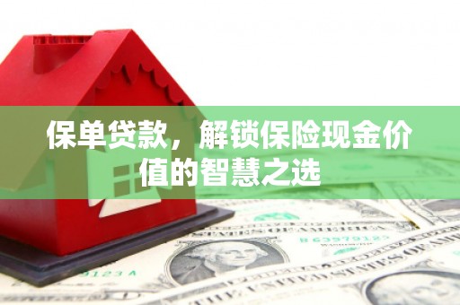 坊子保单贷款，解锁保险现金价值的智慧之选