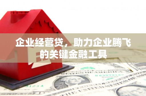 大丰企业经营贷，助力企业腾飞的关键金融工具