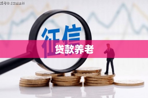 景谷贷款养老