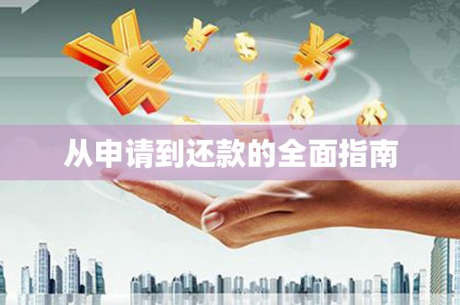 德兴从申请到还款的全面指南