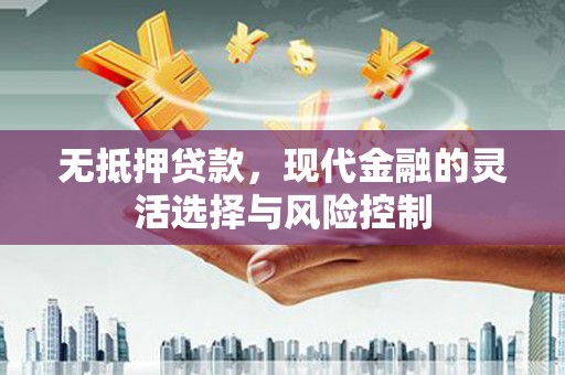 宁南无抵押贷款，现代金融的灵活选择与风险控制