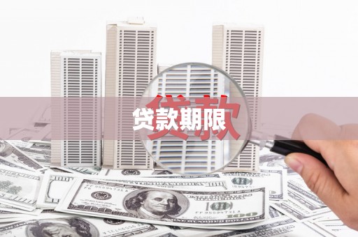 田林贷款期限