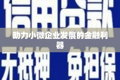 玉树助力小微企业发展的金融利器