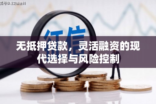 岫岩无抵押贷款，灵活融资的现代选择与风险控制