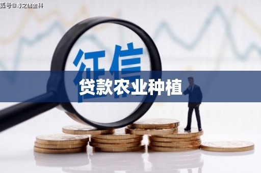温泉贷款农业种植