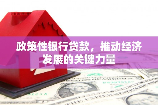 南召政策性银行贷款，推动经济发展的关键力量