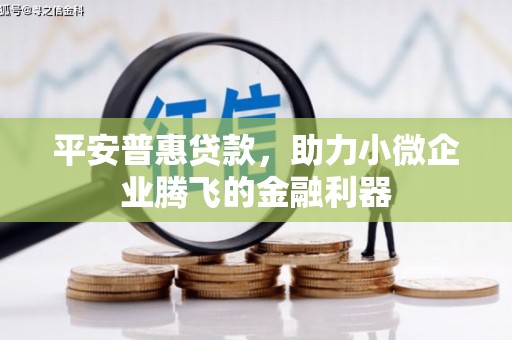 昭阳平安普惠贷款，助力小微企业腾飞的金融利器