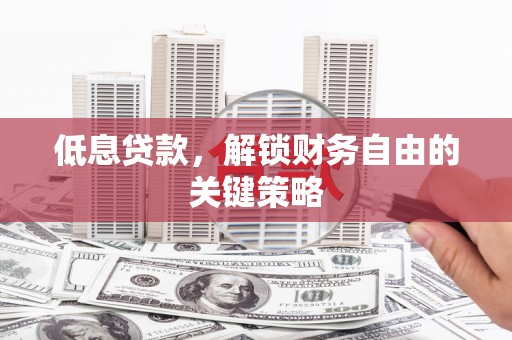金阳低息贷款，解锁财务自由的关键策略