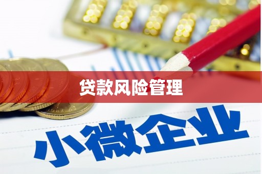 巴楚贷款风险管理