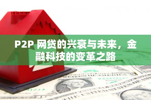 成华P2P 网贷的兴衰与未来，金融科技的变革之路