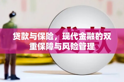 美浓贷款与保险，现代金融的双重保障与风险管理