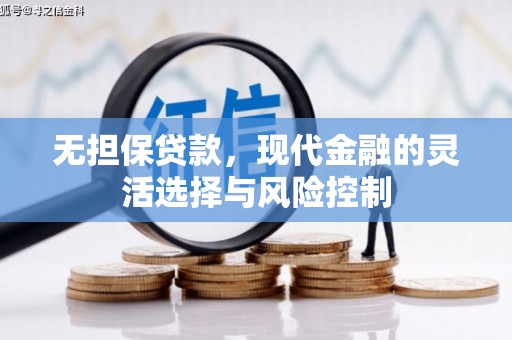 定州无担保贷款，现代金融的灵活选择与风险控制