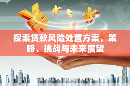 曾都探索贷款风险处置方案，策略、挑战与未来展望