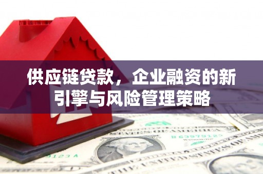 南丹供应链贷款，企业融资的新引擎与风险管理策略