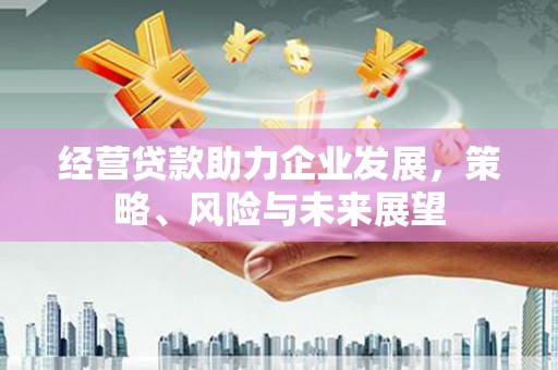 土库经营贷款助力企业发展，策略、风险与未来展望