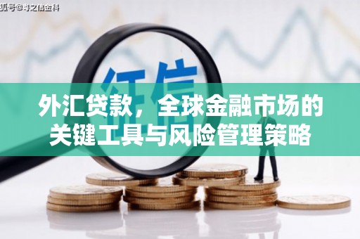 红岗外汇贷款，全球金融市场的关键工具与风险管理策略