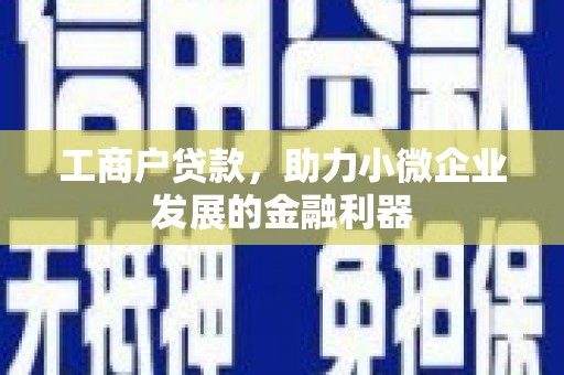 尼勒克工商户贷款，助力小微企业发展的金融利器