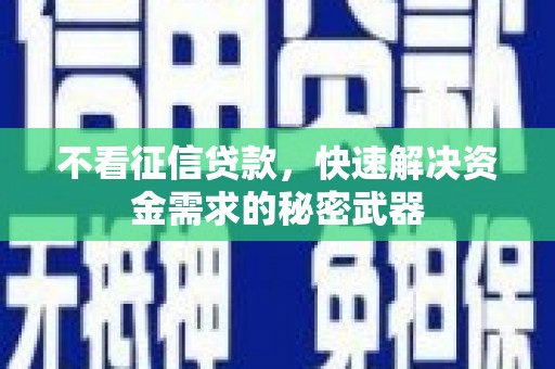 南开不看征信贷款，快速解决资金需求的秘密武器