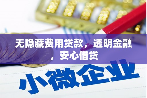 甘南无隐藏费用贷款，透明金融，安心借贷