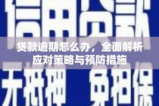 武穴贷款逾期怎么办，全面解析应对策略与预防措施